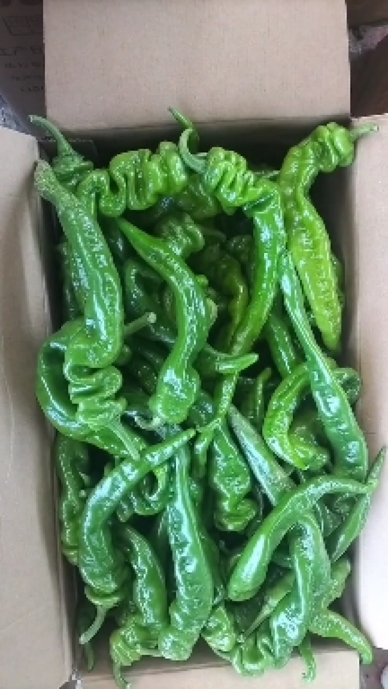 螺丝椒