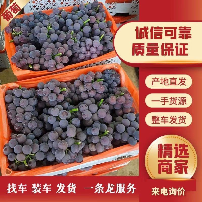 巨峰葡萄产区直供代收代发全国各大市场
