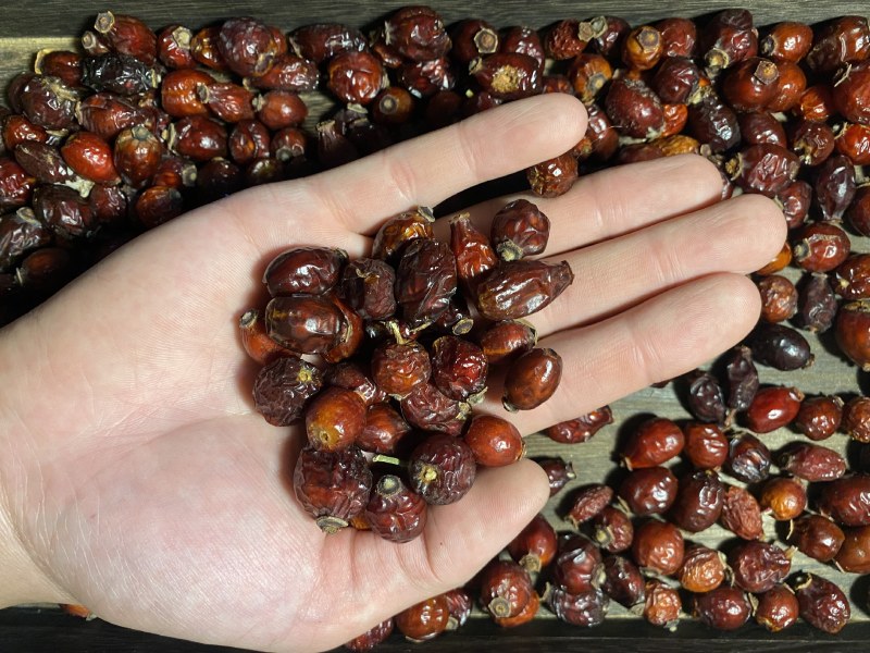 刺玫果，玫瑰果
