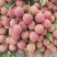 广东白蜡荔枝已上市，口感好，品质优价格便宜，产地代发代办