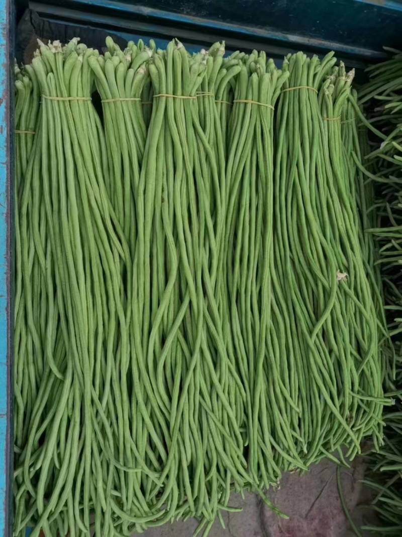 【推荐】长豆角，产地直供【市场】【加工厂】【电商】