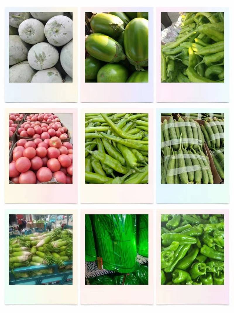 【推荐】长豆角，产地直供【市场】【加工厂】【电商】