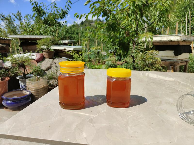 蜂蜜-土蜂蜜-秦岭土蜂蜜，养殖基地生产，全年有货质优价廉