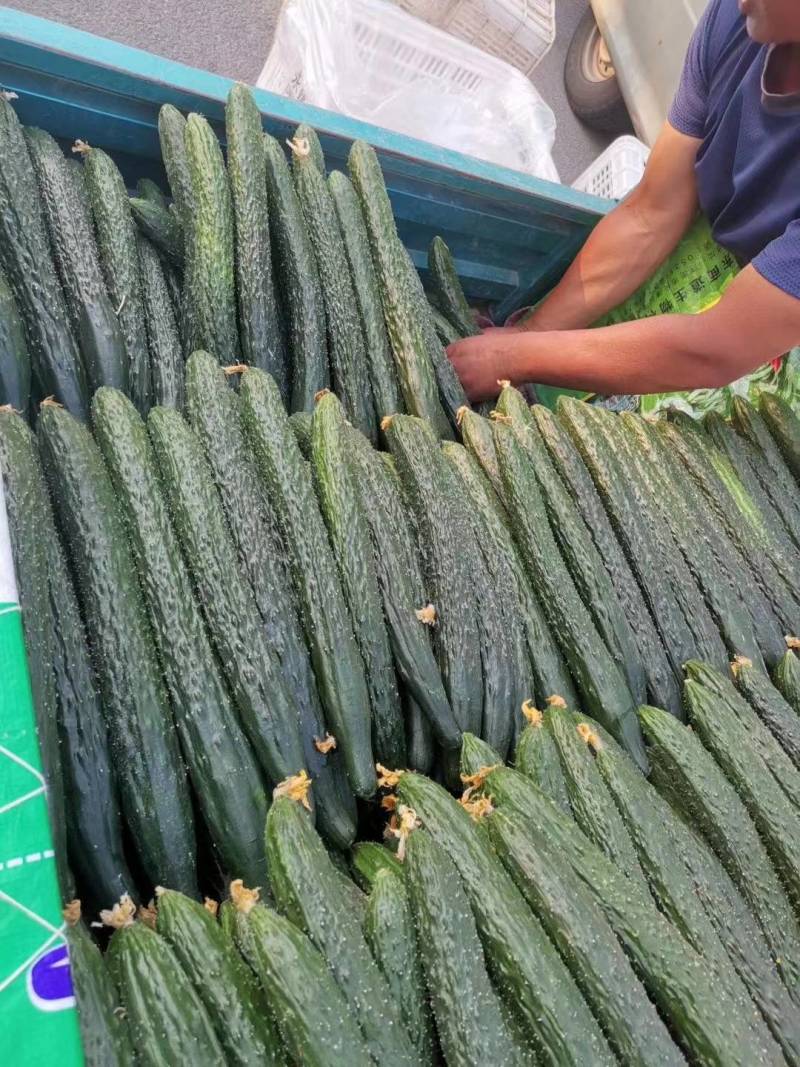 产地直供，按需包装，【市场】【电商】【加工厂】