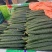 产地直供，按需包装，【市场】【电商】【加工厂】