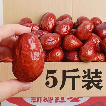 【包邮-10斤红枣】批发10斤20斤新疆特产红枣