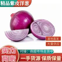 【推荐】河南精品紫皮洋葱大量现货！产地直发！商超直供！