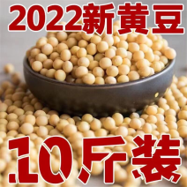 批发10斤20斤东北大豆黄豆