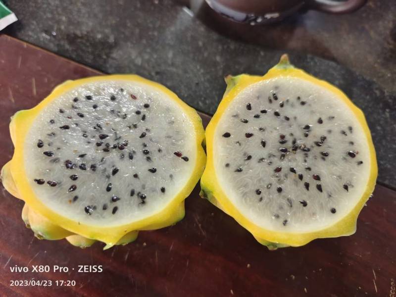 大量供应3一4两，4一5两，5一6两，6两以上精品燕窝果