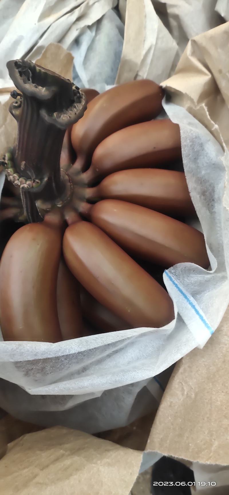 海南红香蕉