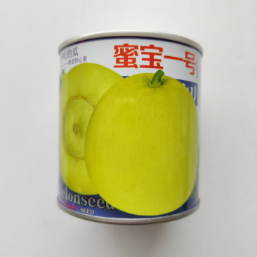 蜜宝一号甜瓜种子品种甜宝早熟品种种子