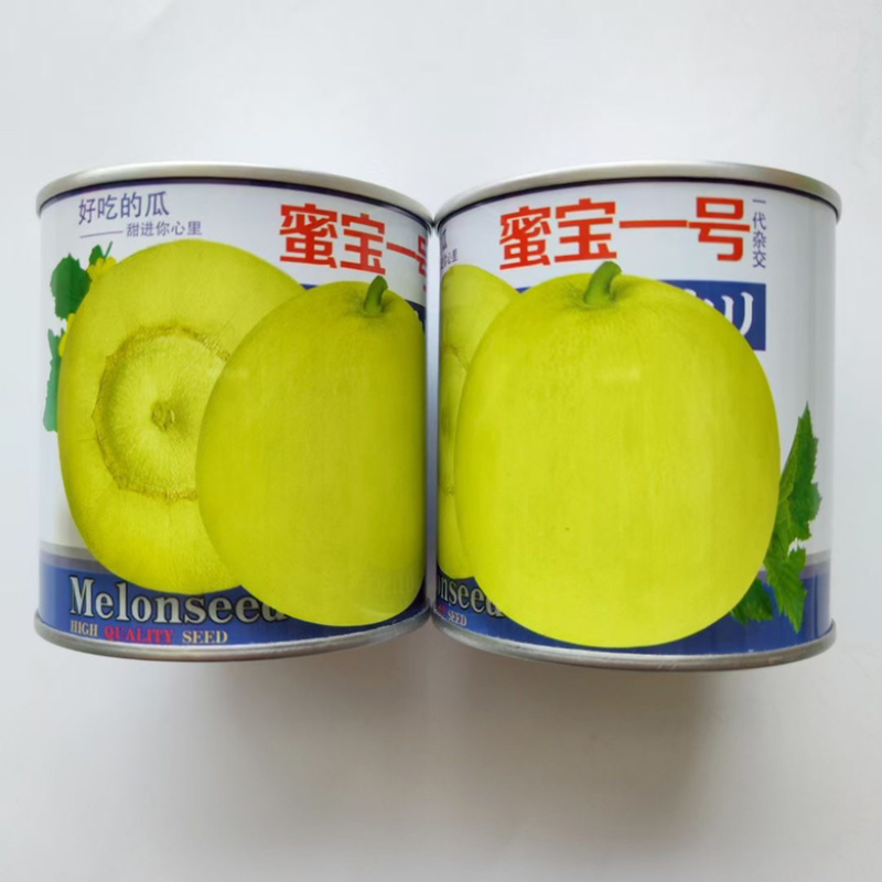蜜宝一号甜瓜种子品种甜宝早熟品种种子