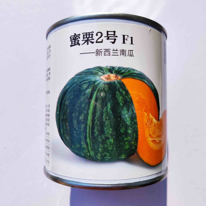 蜜栗2号南瓜种子甜栗口感早熟品种种子