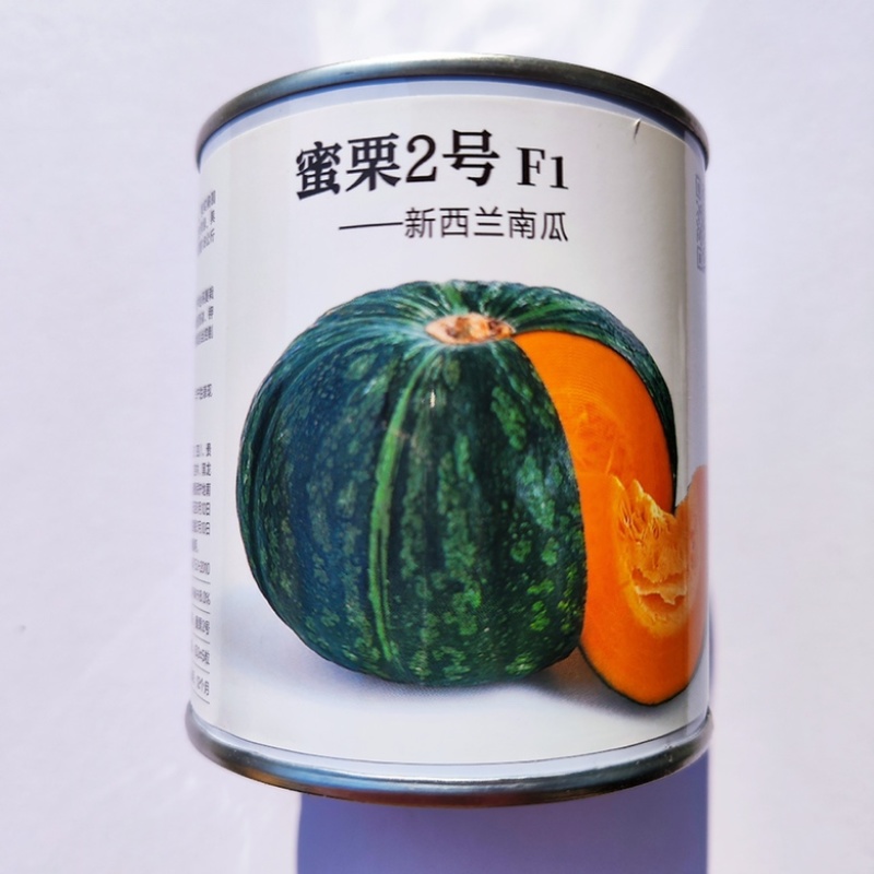 蜜栗2号南瓜种子甜栗口感早熟品种种子