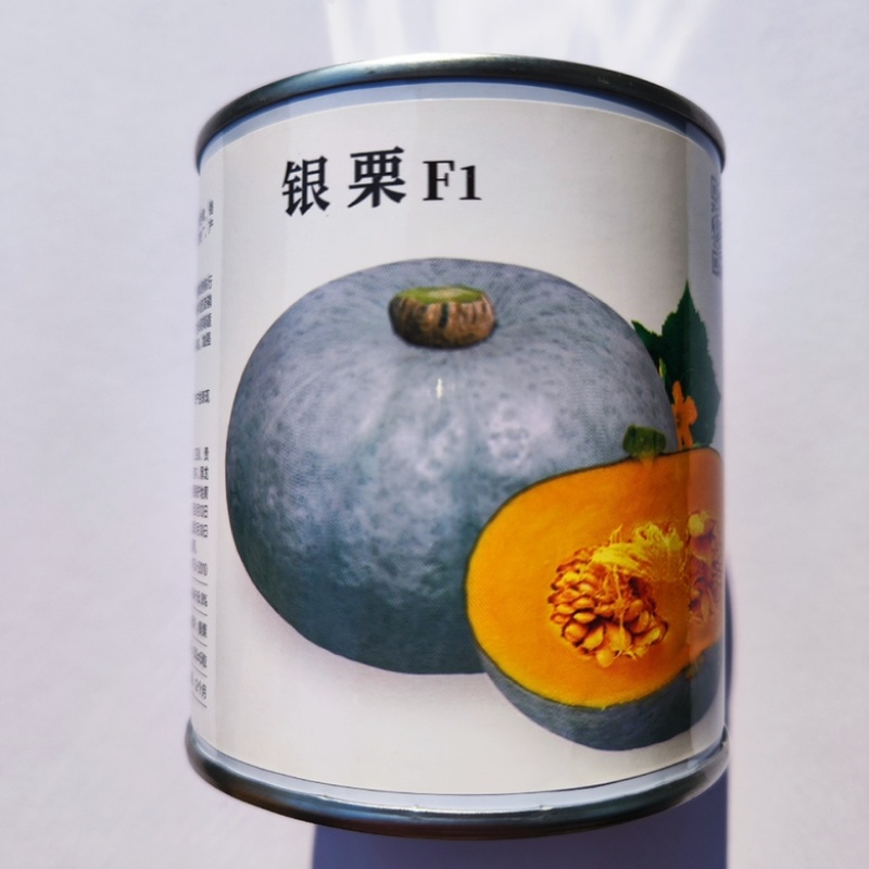 蜜栗2号南瓜种子甜栗口感早熟品种种子