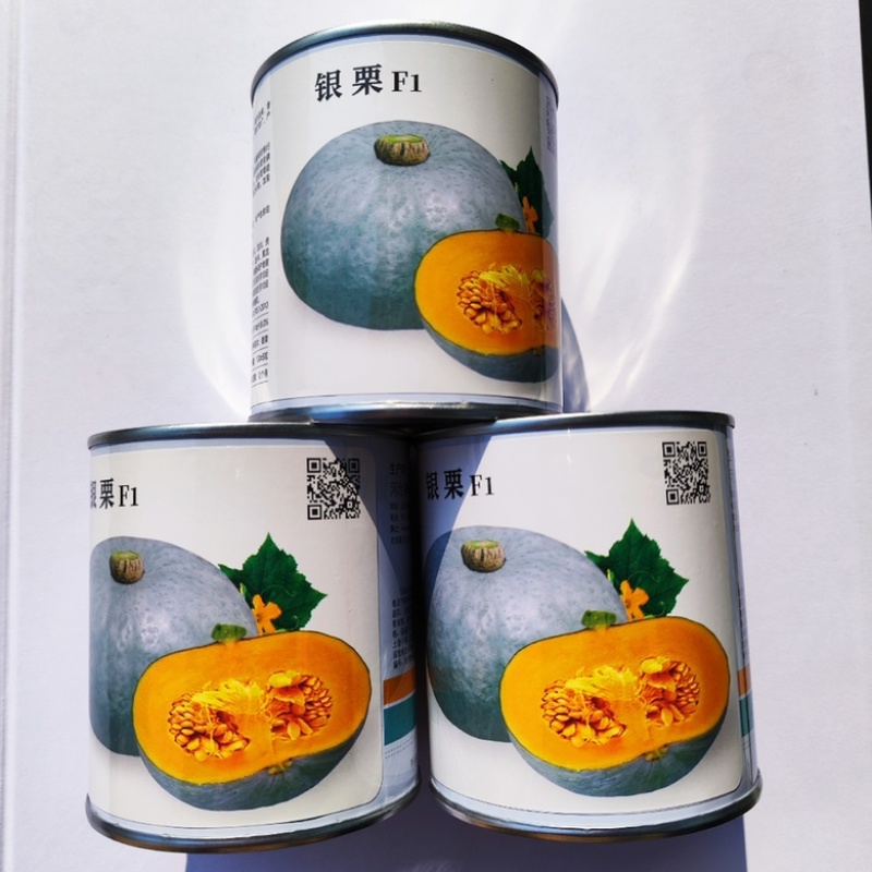 蜜栗2号南瓜种子甜栗口感早熟品种种子