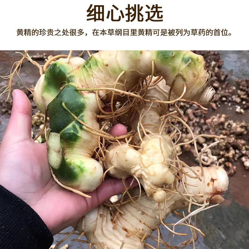 黄精，野生黄精鲜货，传统九制黄精供应支持电商合作统货选货