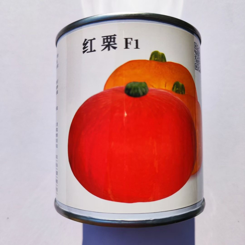 蜜栗2号南瓜种子甜栗口感早熟品种种子