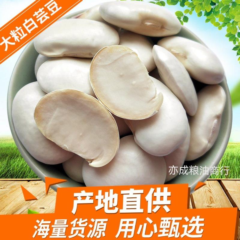 大颗粒白芸豆批发当季新货芸豆五谷杂粮云南云豆