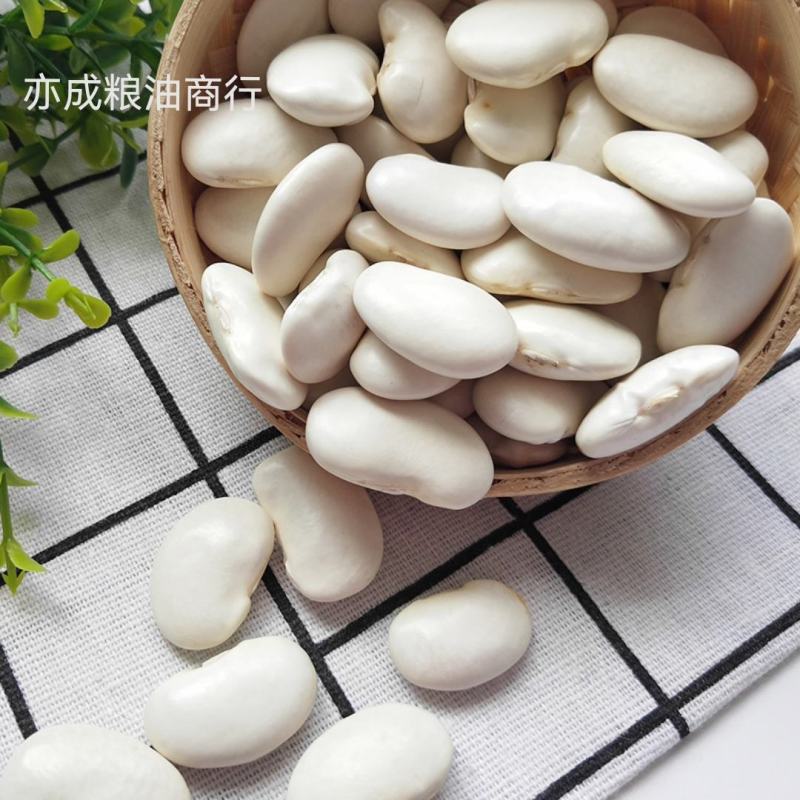 大颗粒白芸豆批发当季新货芸豆五谷杂粮云南云豆