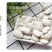 大颗粒白芸豆批发当季新货芸豆五谷杂粮云南云豆