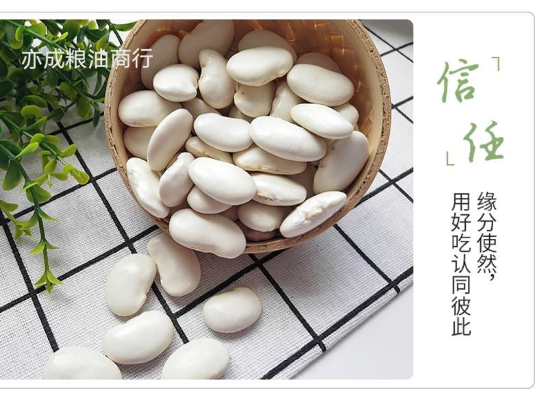 大颗粒白芸豆批发当季新货芸豆五谷杂粮云南云豆