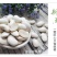 大颗粒白芸豆批发当季新货芸豆五谷杂粮云南云豆