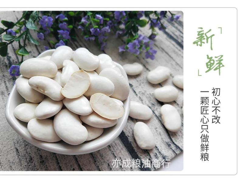 大颗粒白芸豆批发当季新货芸豆五谷杂粮云南云豆