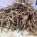滇红大金针古树红茶滇红工夫精品茶叶对接全国客商欢迎来电