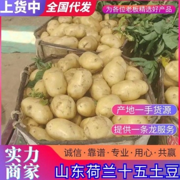 三两以上工厂食堂货，大量供应，无黑心，无腐烂