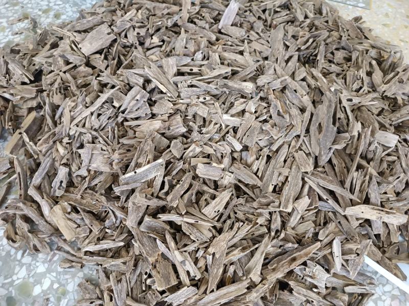 沉香虫漏一手货源产地批发