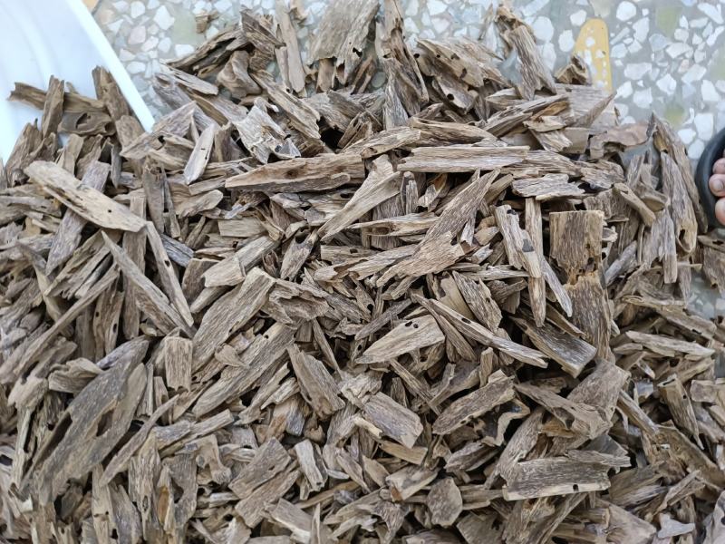 沉香虫漏一手货源产地批发