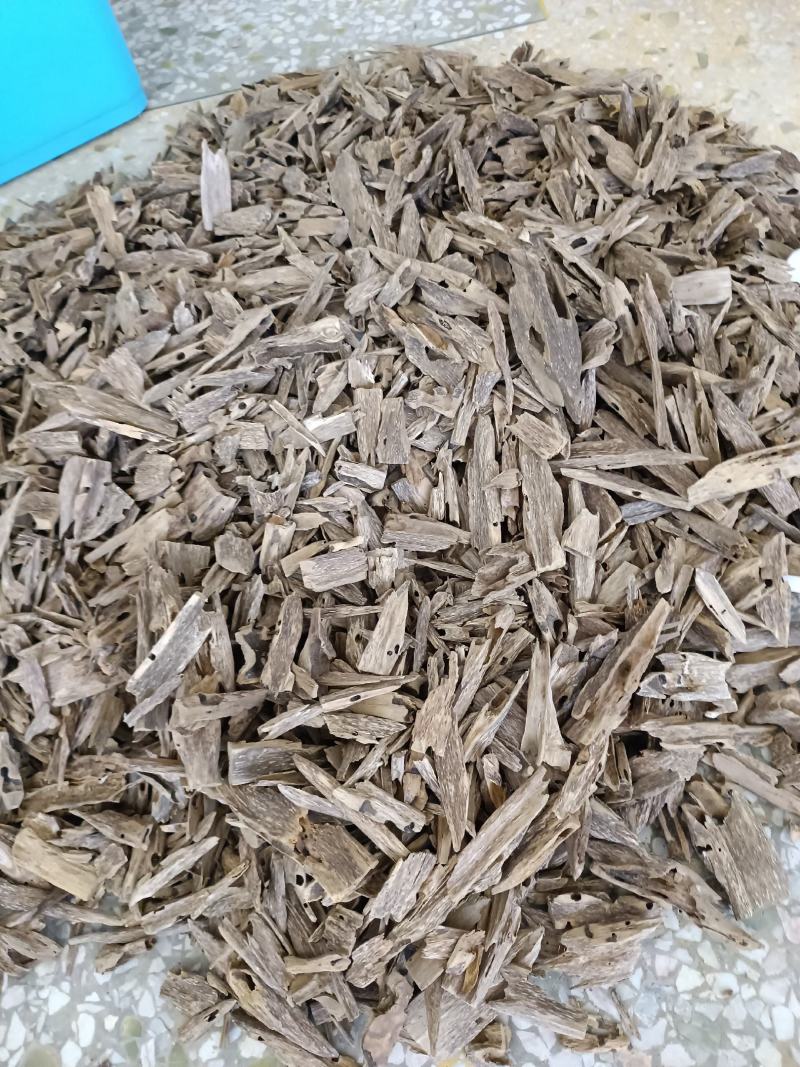 沉香虫漏一手货源产地批发