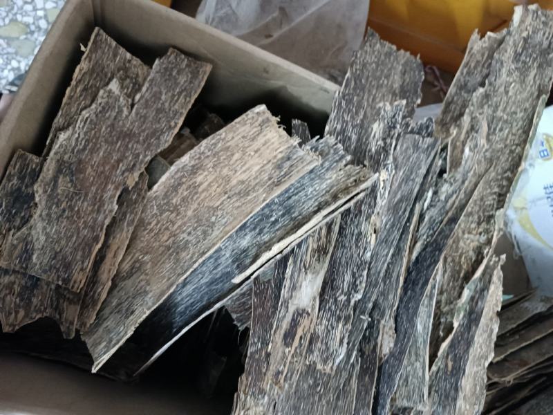 天然皮油一手货源供应