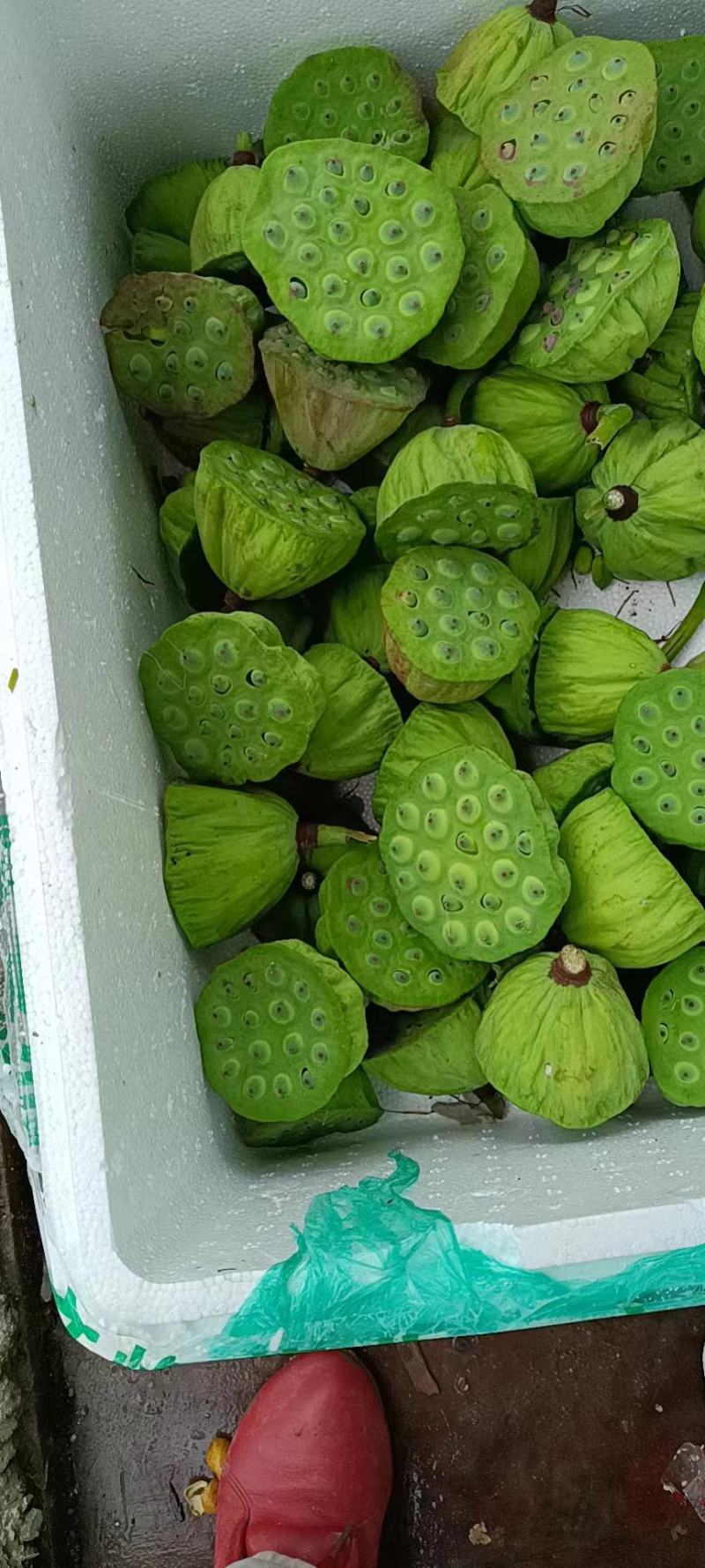 农场产品批发出售，