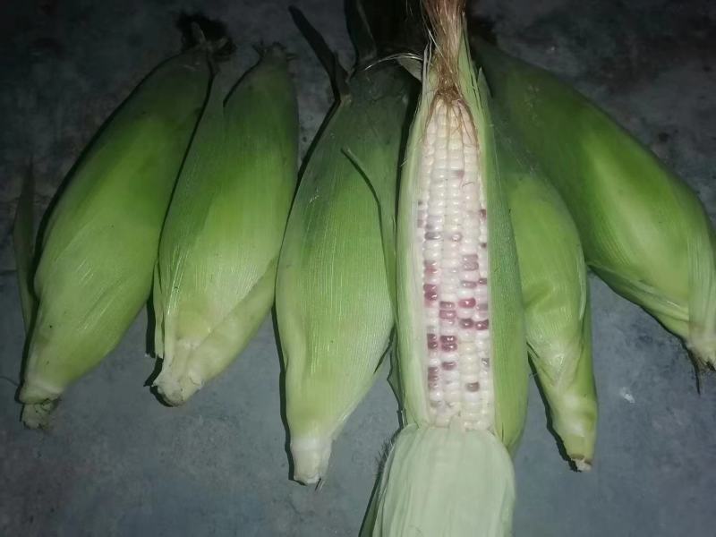 农场产品批发出售，