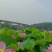 农场产品批发出售，