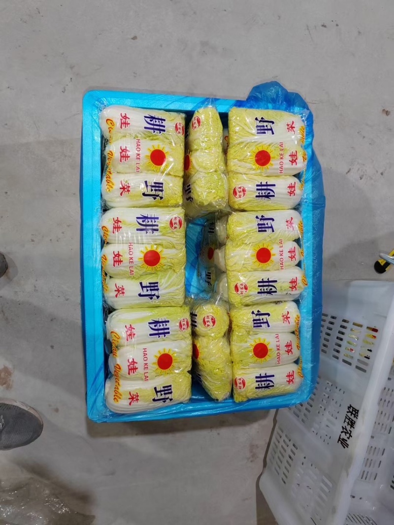 精品蔬菜