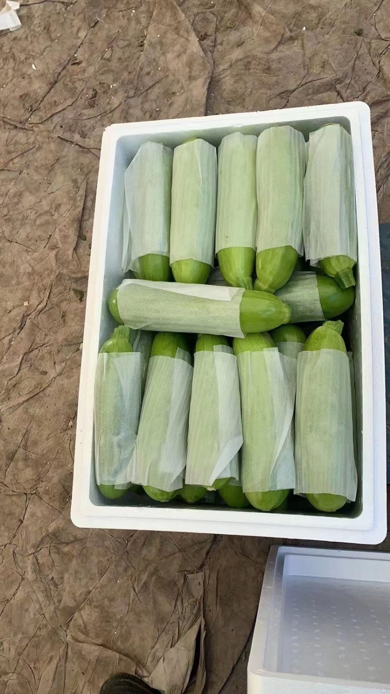 精品蔬菜