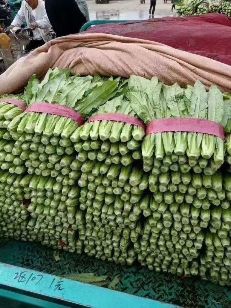 精品蔬菜