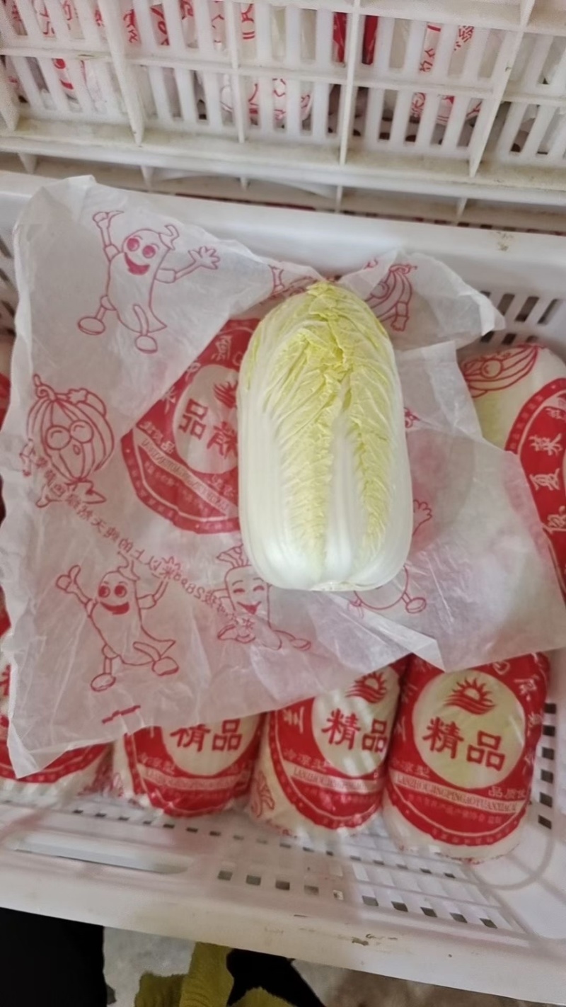 精品蔬菜