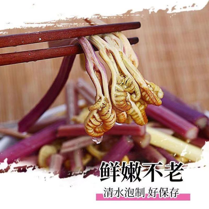 切断清水蕨菜真空龙爪菜段凉拌菜山野菜蕨苔下饭炒
