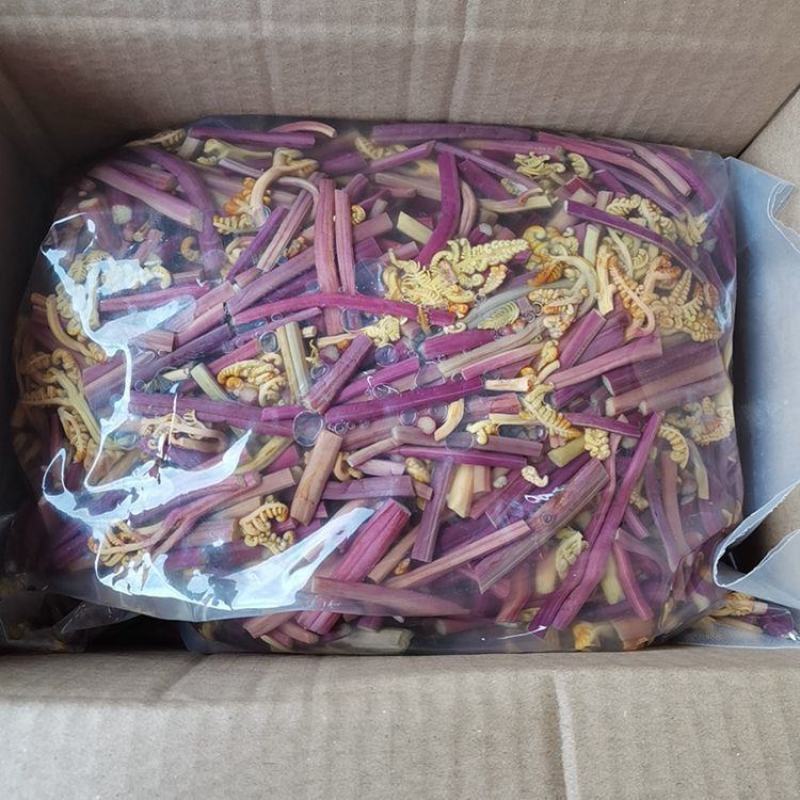 切断清水蕨菜真空龙爪菜段凉拌菜山野菜蕨苔下饭炒
