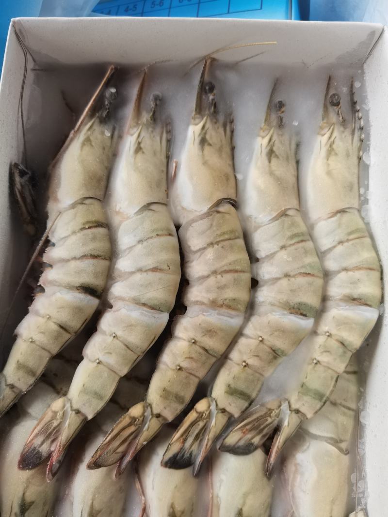 黑虎虾，工厂直发