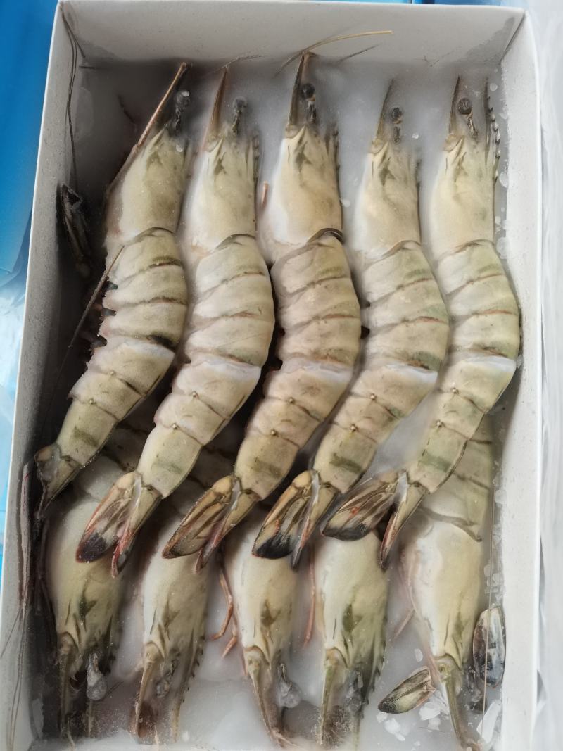 黑虎虾，工厂直发
