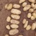 沃土5号大量上市中，支持各种规格，超市电商供货，诚信经营