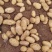 沃土5号大量上市中，支持各种规格，超市电商供货，诚信经营