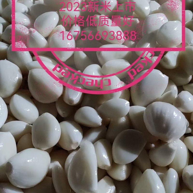 2026年新蒜蒜米蒜肉蒜泥料工厂用蒜米，市场用蒜米