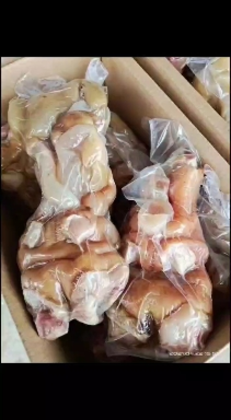 【牛蹄筋】熟牛蹄、火烧去骨熟牛蹄筋，带主筋！