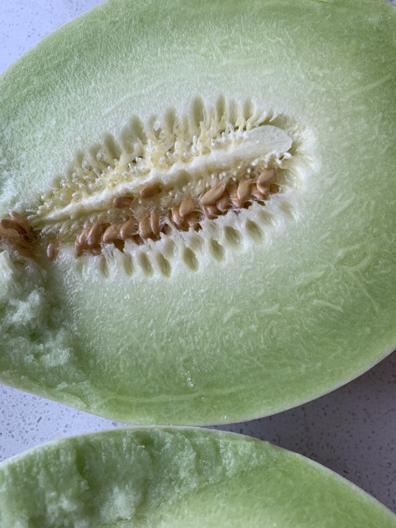 甜瓜玉菇又甜又脆可口好吃